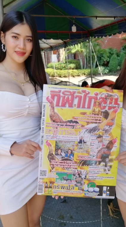 กีฬาไก่ชนออนไลน์
