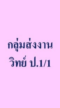กลุ่มส่งงาน  วิทย์   ป.1/1
