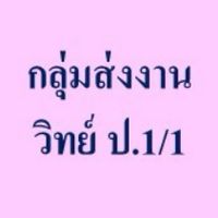 กลุ่มส่งงาน  วิทย์   ป.1/1