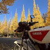 原付バイク、原チャリ(たまに車)交流所