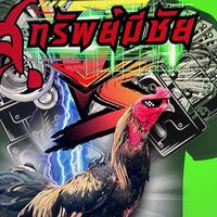 ส.ทรัพย์มีชัย #🐓ไก่ชน คนPatya🐓