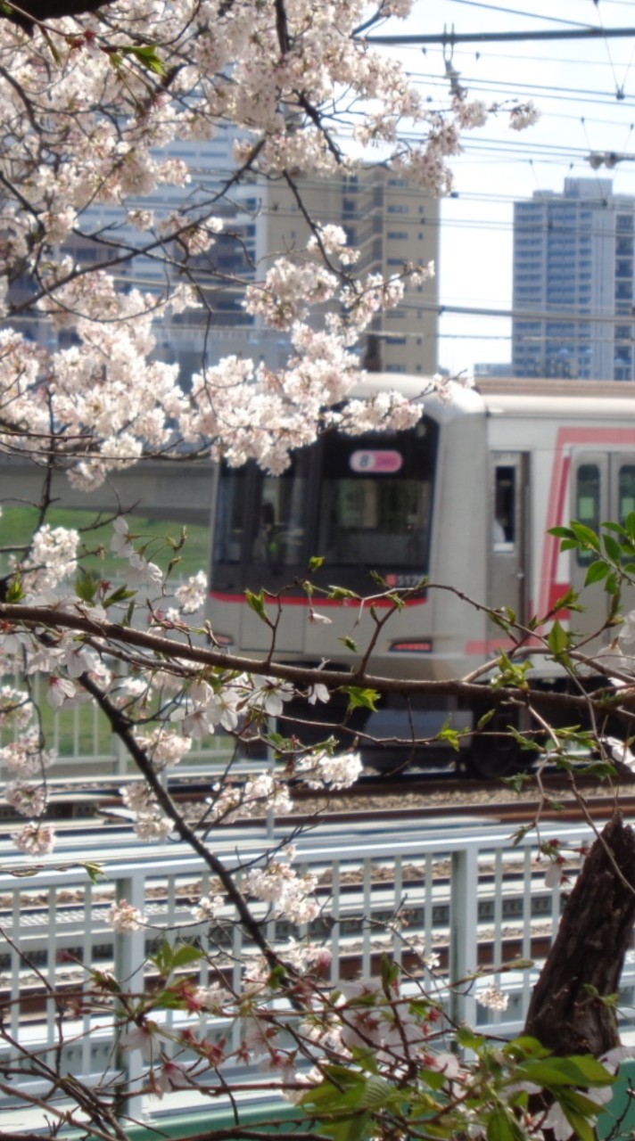 新・駅名しりとり OpenChat