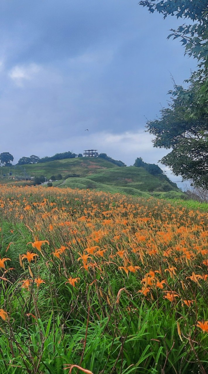 小農俱樂部（分享交流園地）