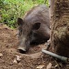集まれガチ猟師‼️…と、それを応援する人達