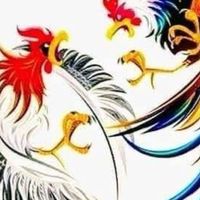 ชื้อ-ขายไก่ชน ภาคอิสาน