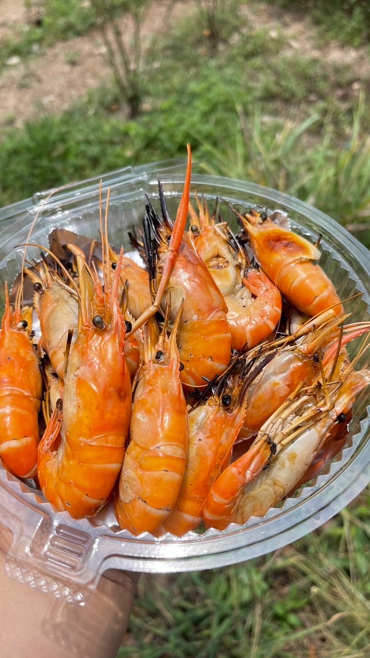 กุ้งเป็น บ้านแพรก