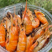 กุ้งเป็น บ้านแพรก