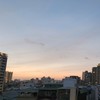 浪琴華廈好朋友