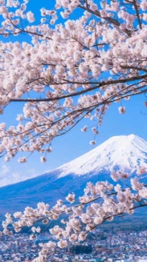学生の集い☆〜（ゝ。∂）！勉強でも雑談でもなんでも話そう！！