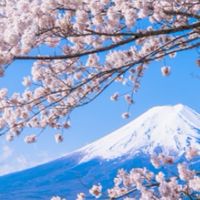 学生の集い☆〜（ゝ。∂）！勉強でも雑談でもなんでも話そう！！