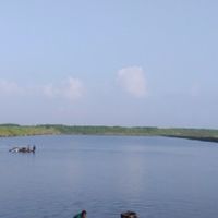 海口現釣撈魚貨（即時訊息）