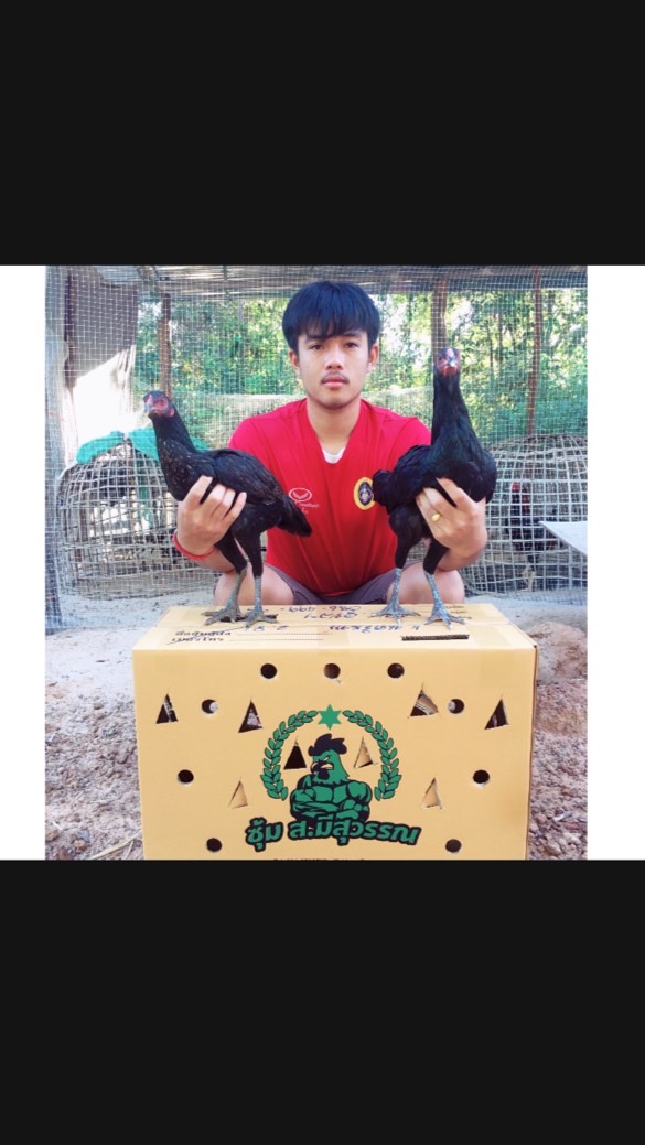 ซุ้ม ป.นครินทร์ สายเลือดมีสุวรรณ100