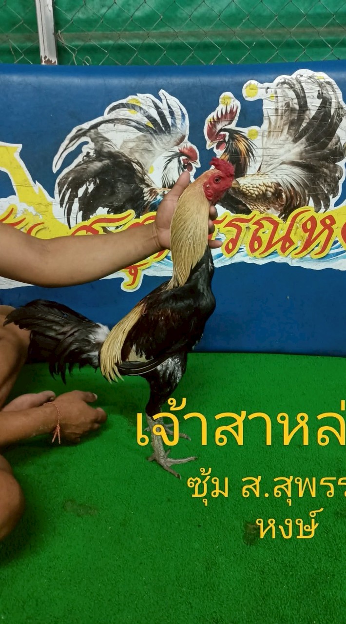 ซุ้ม ส.สุพรรณหงษ์