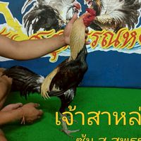 ซุ้ม ส.สุพรรณหงษ์