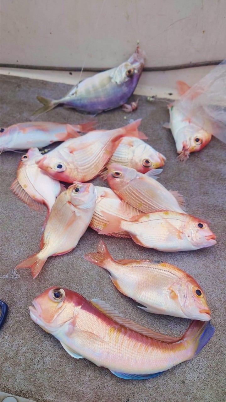 然魚餐桌精品海鮮