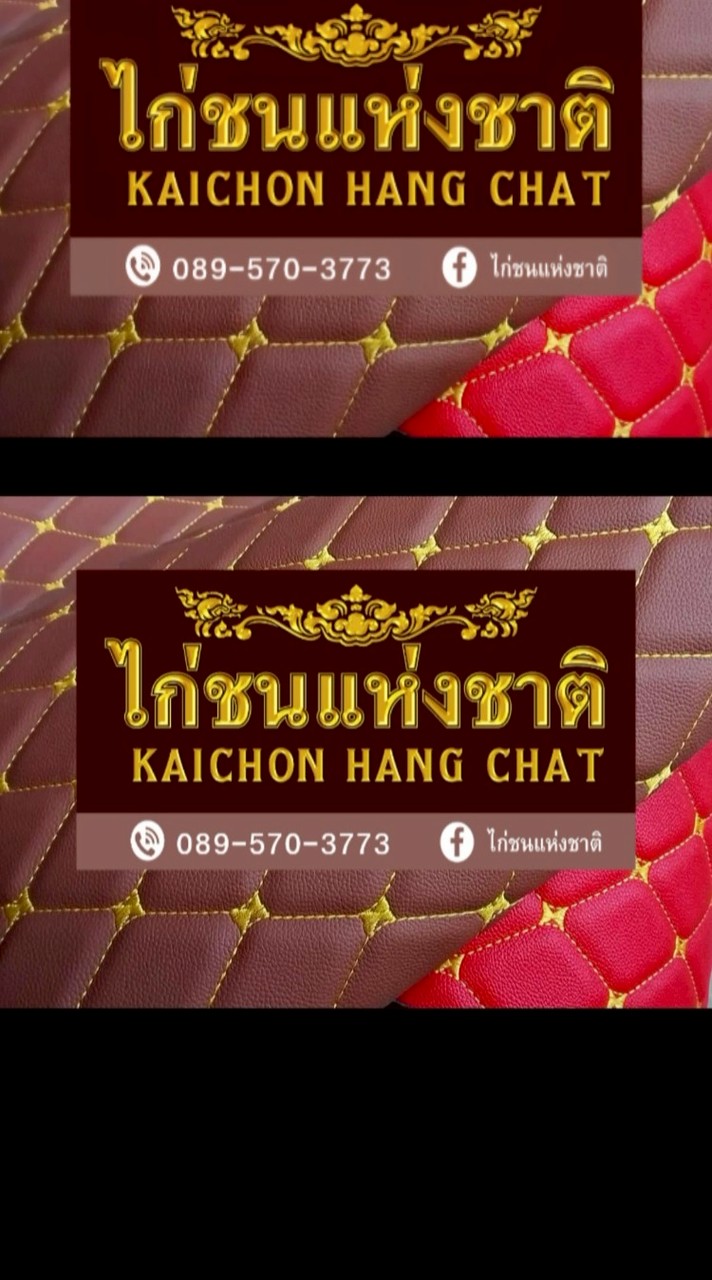 ไก่ชนแห่งชาติ♦️♦️อาชีพมหัศจรรย์