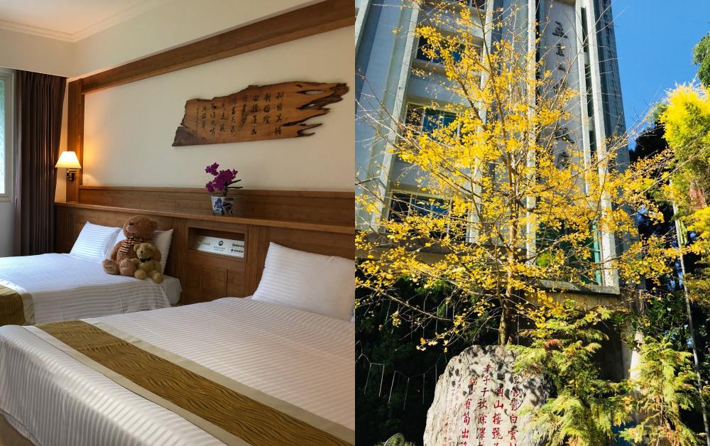 2022全台五大必去茶園+住宿推薦！三峽龍井茶、日月潭紅茶、鹿谷凍頂烏龍...愛喝茶的必須收！-4