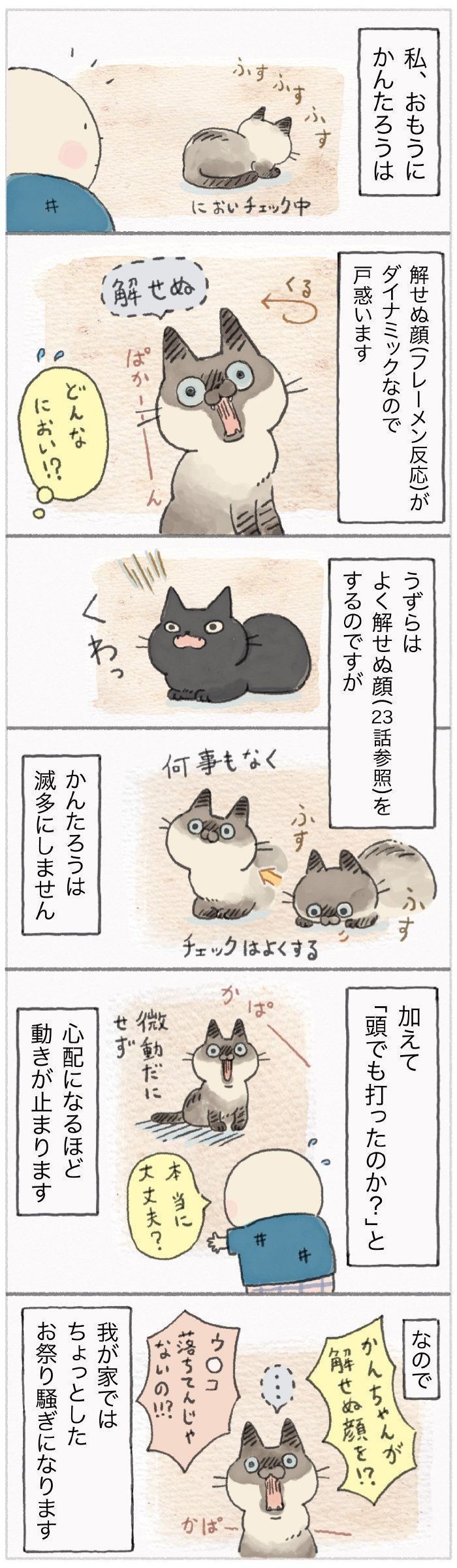 ダイナミックすぎるフレーメン反応 飼い主ともども戸惑う ねこのきもちnews