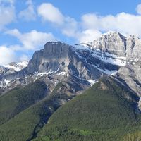 2024 Alberta 台灣社群