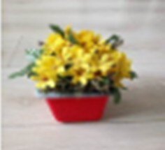 【方形花盆-PET+EVA-直徑12*高10CM-24個/箱-500個/組】-517002