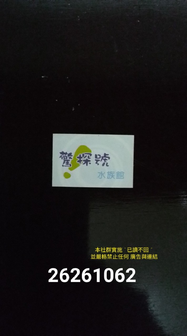 驚探號水族館(淡水地區)佈告欄