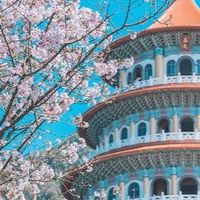 台北美食旅遊各種聊