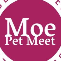 毛寵遇精選Moe Pet meet