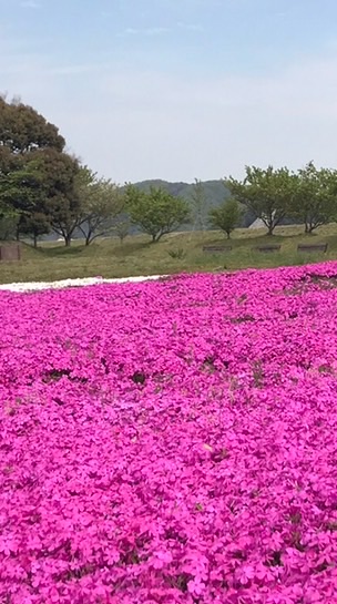 【でぇーでぇ笠岡 情報局】