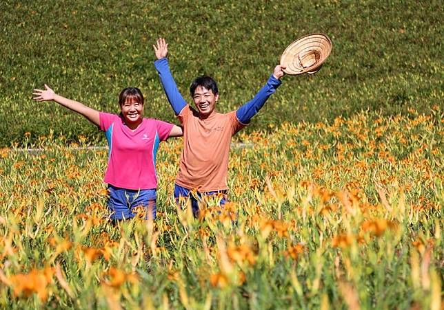 圖片來源/917有機農場