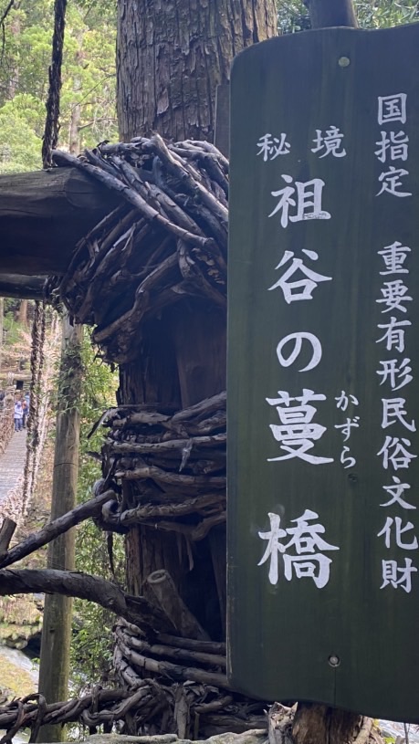 東南旅遊好康-蔡旻翰(小蔡)-1