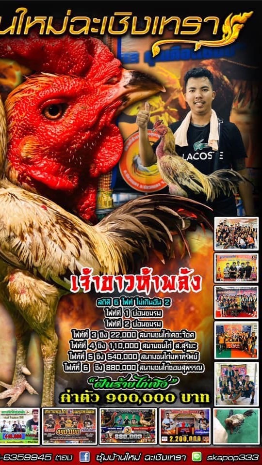 คนรักเจ้าขาว5พลัง ซุ้มบ้านใหม่ฉะเชิงเทรา🙏🏻❤️🤟🏻