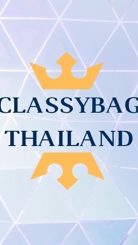 Classybagbrandnamebymint