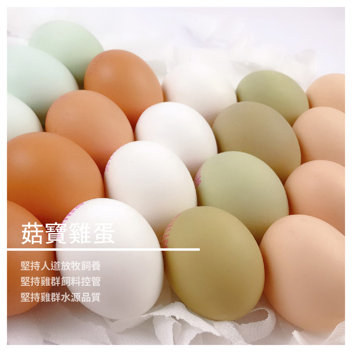 菇寶雞蛋 30入/盒 商品介紹 堅持人道放牧飼養 堅持雞群飼料控管 堅持雞群水源品質 御品園的堅持以健康為導向 針對飼料調植物性 並添加健康的亞麻籽 而使其每一顆蛋黃擁有豐富的DHA和葉黃素 DHA係