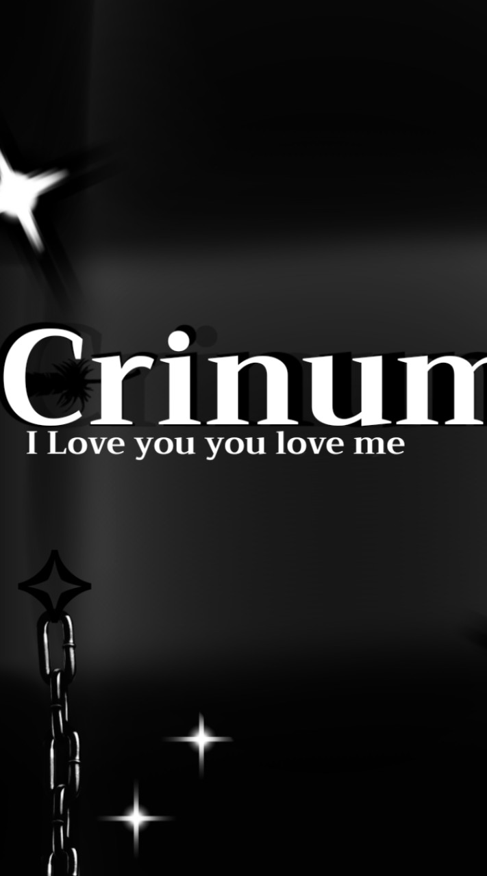 Crinum ✦