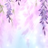 🌷 Mia の 動漫日常｜代購・新品公告🌷