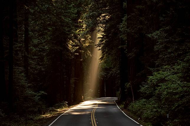 Kisah Horor Jalur Alas Baluran Trending Now Line Today