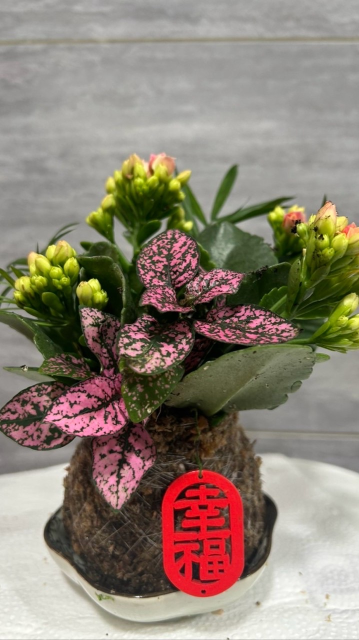 植栽魅力