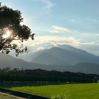植栽魅力