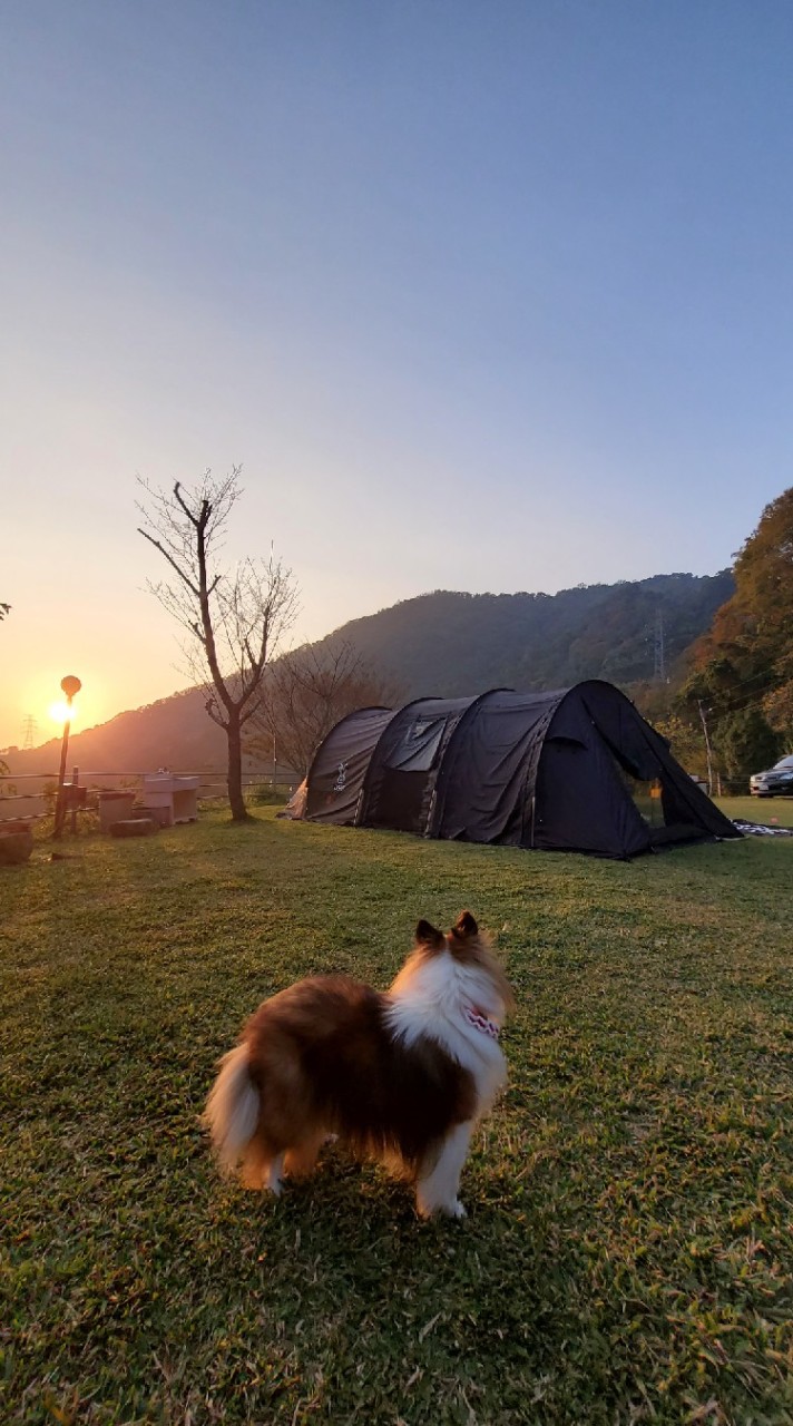 露營小團體