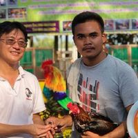 ไก่ชนสุพรรณบุรี​