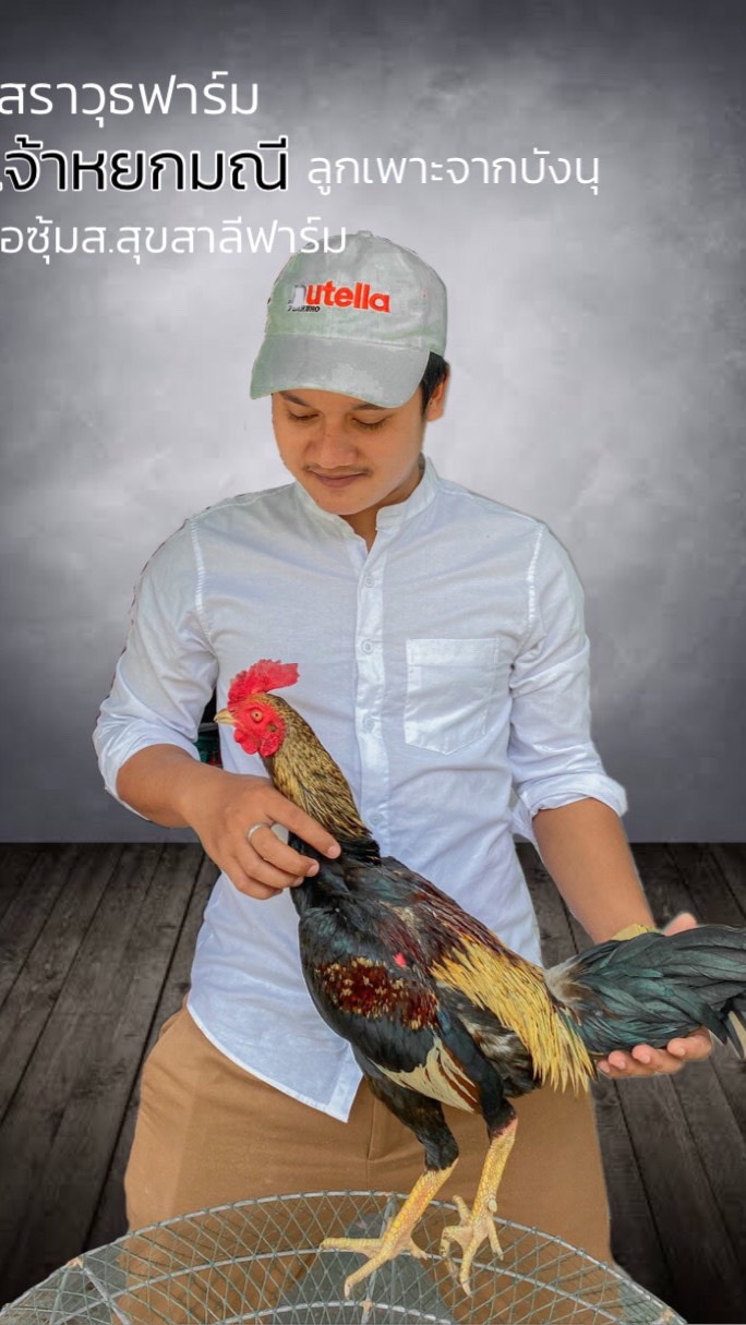 กลุ่มประมูลไก่ชน 🐉🐲ส.สราวุธ ฟาร์มพม่าแข้งคม🐲🐉