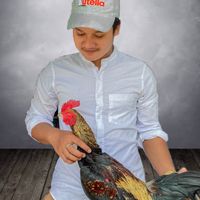 กลุ่มประมูลไก่ชน 🐉🐲ส.สราวุธ ฟาร์มพม่าแข้งคม🐲🐉