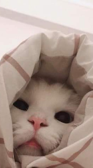 ผู้ชายจงจาเริน