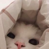 ผู้ชายจงจาเริน