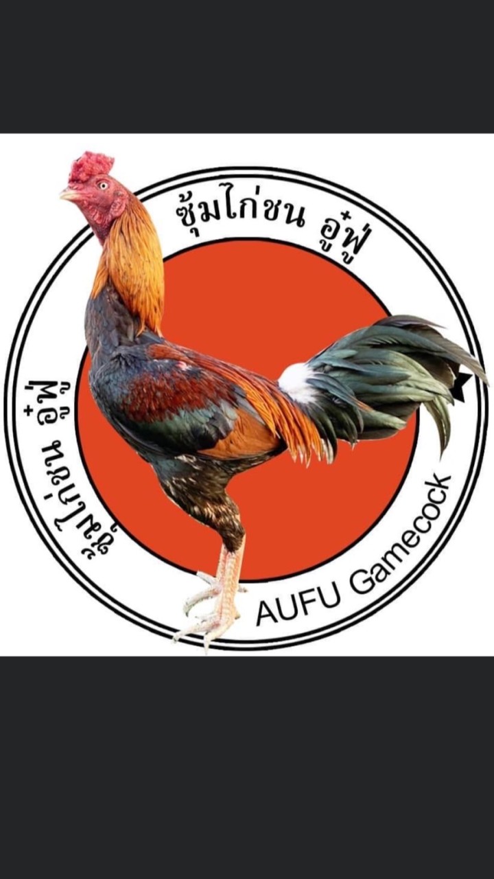 อู๋ฟู่ฟาร์มไก่ชนสายพันธ์ุเงินล้านเชียงใหม่