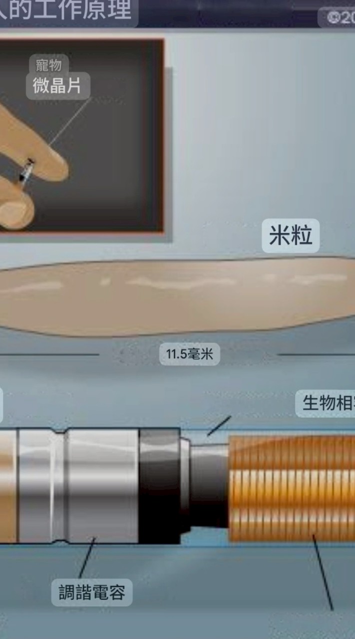 明杰寵物晶片客製化編碼