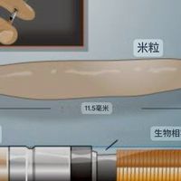 明杰寵物晶片客製化編碼