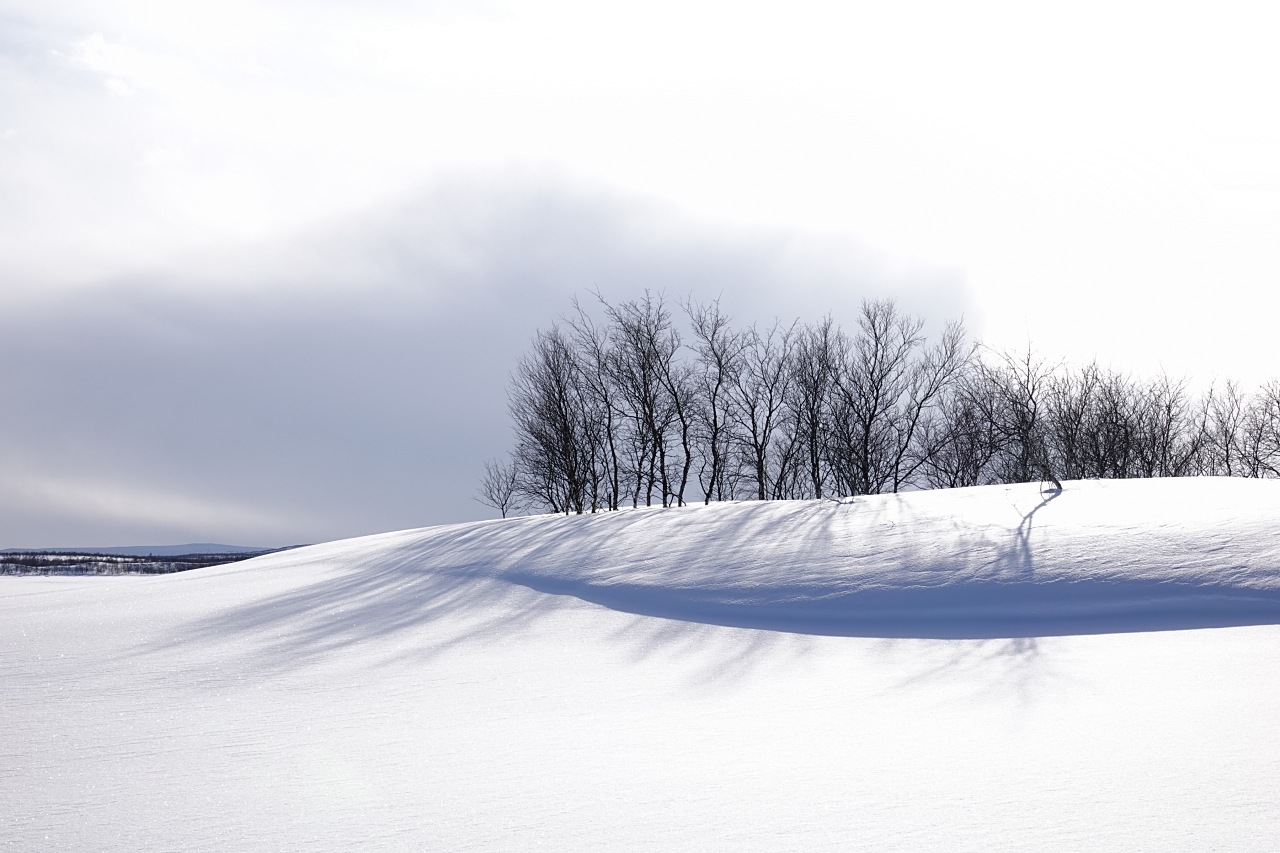 旅遊攝影師貝琪梨的極地遠征！Sony RX10 IV 極光 / 飛羽實戰拍攝分享