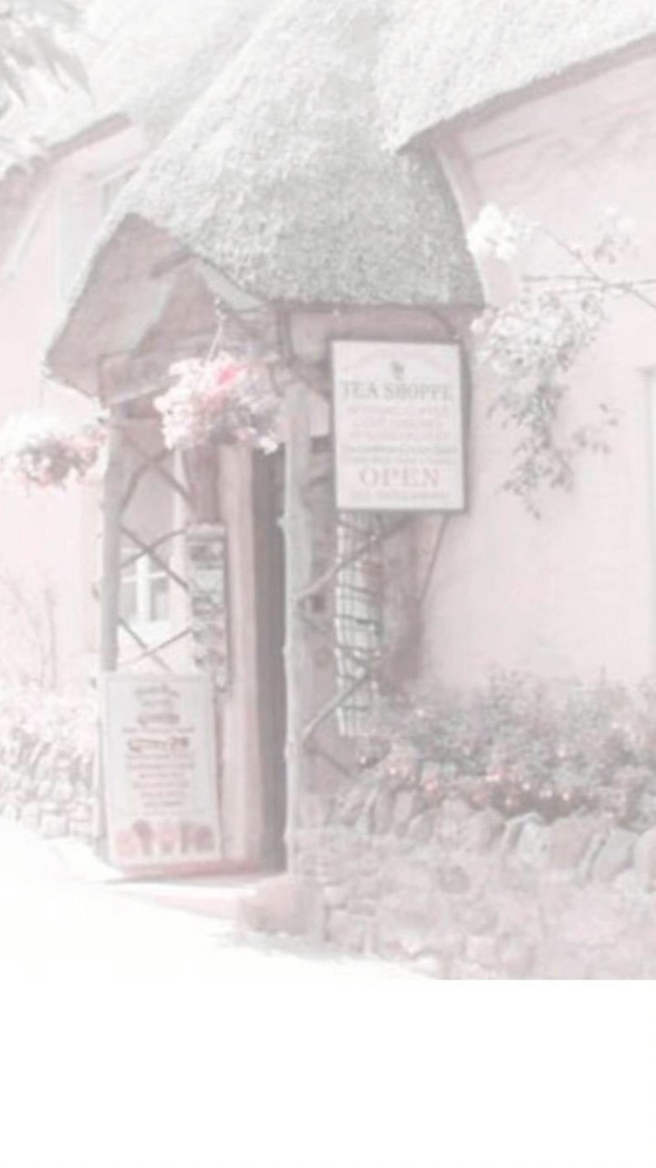 𐙚‧₊🧻芷 舒 與 你⋆.𓂃 .ᐟ