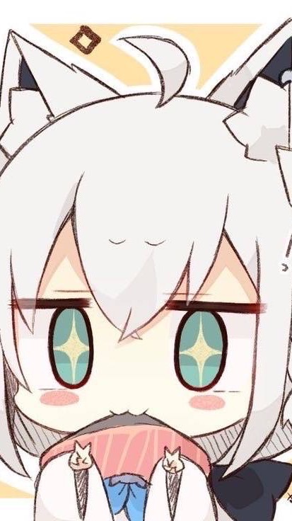 にゃんこー！